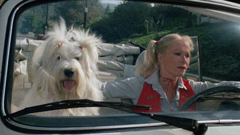 Still from Charli