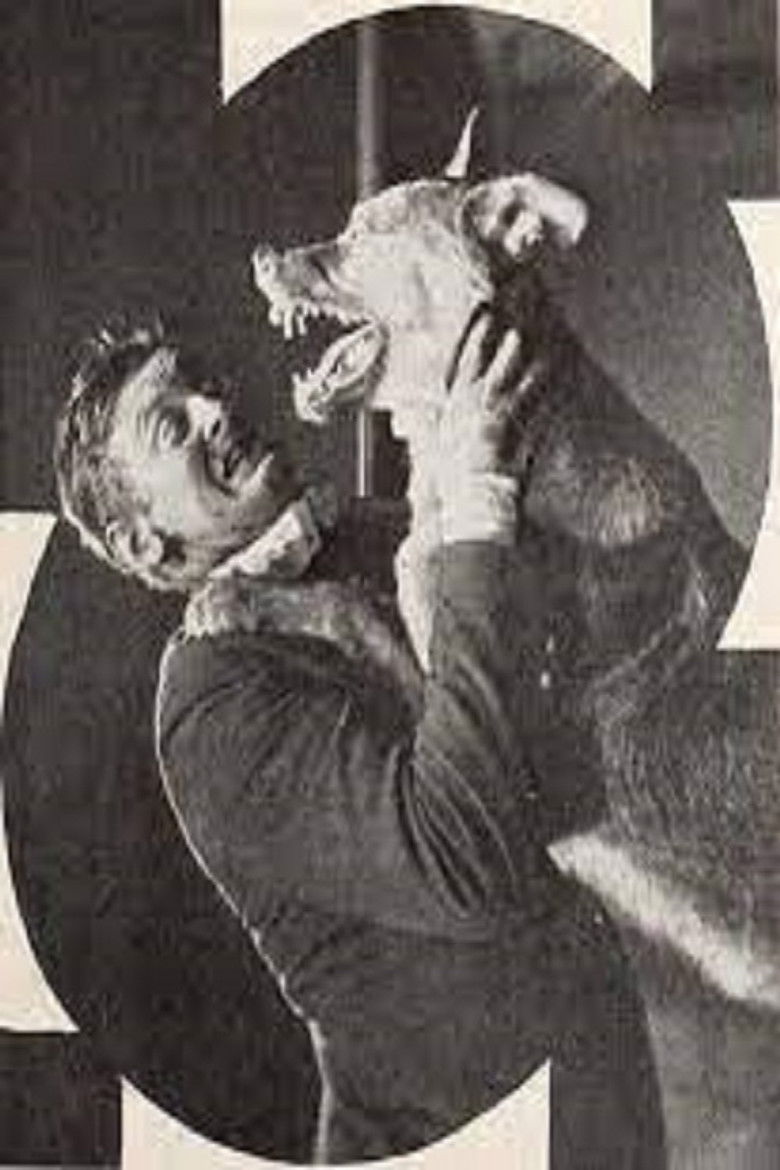 Imatge de The Silent Accuser