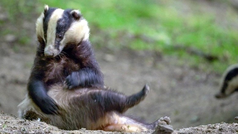 Still image for Des bêtes et des sorcières season 1 episode 2: Episode 2