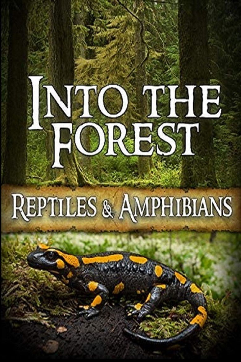 Imatge de Into the Forest: Reptiles & Amphibians