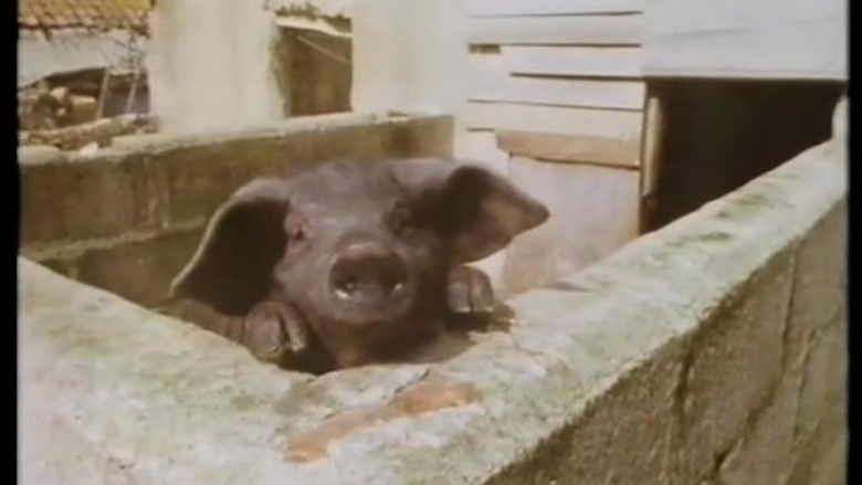 Still image for Further Abroad With Jonathan Meades season 1 episode 4: The Truth About Porkies