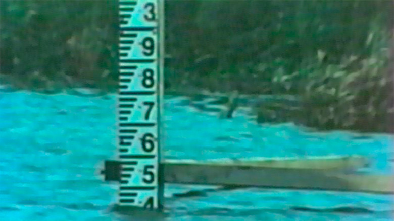 Still image for Sonda season 1 episode 294: Episode 294 Still image for Sonda season 1 episode 294: Episode 294