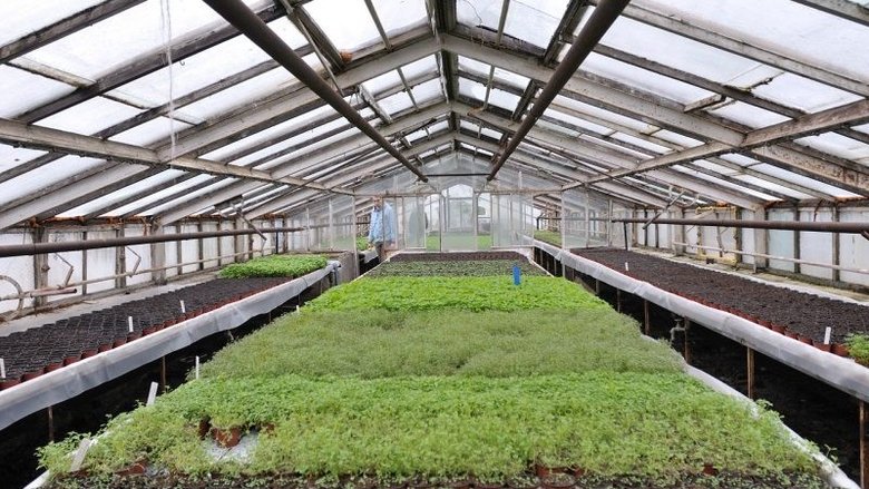 Kluci v akci Sezóna 1 Epizoda 121 bombuj