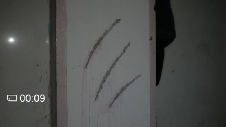 Gallery image from 7mJqfH2NB3cuR0uPhs9I7xuJrbr.jpg