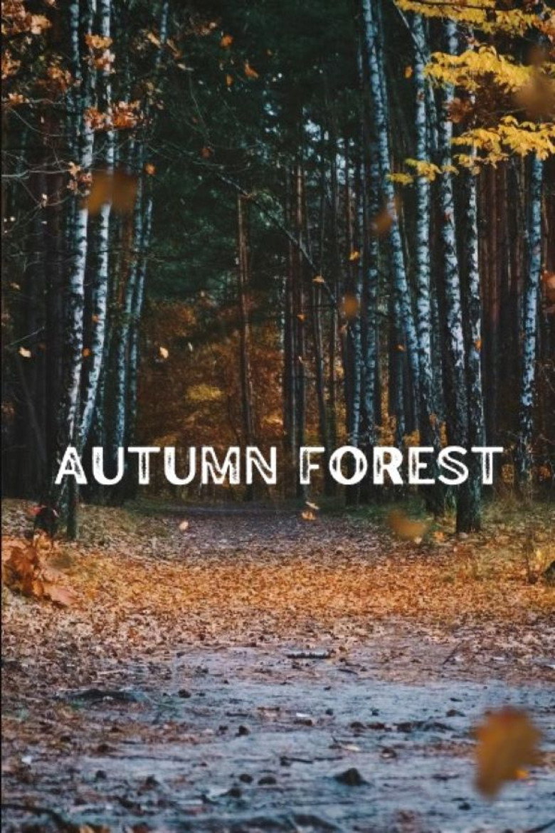 Autumn Forest background