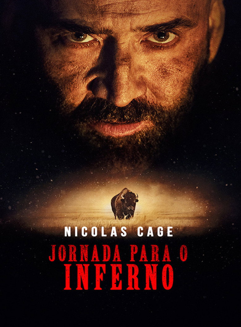 Póster la Película
