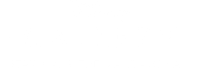 Disney Gallery / Star Wars: The Mandalorian