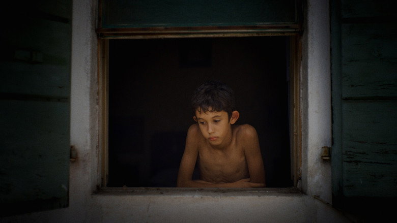 Imatge de I fiori non hanno le scarpe