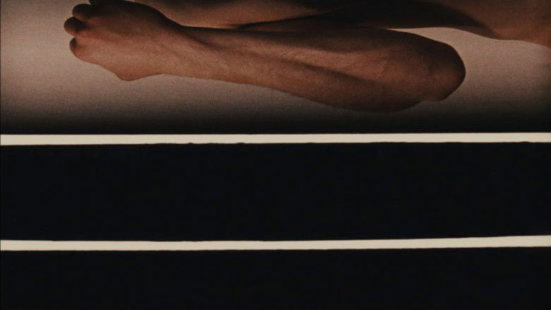 Image d'arrière-plan 11 du film From the Notebook of...