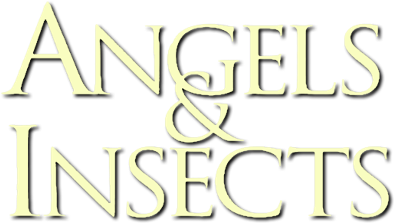 Angels and Insects