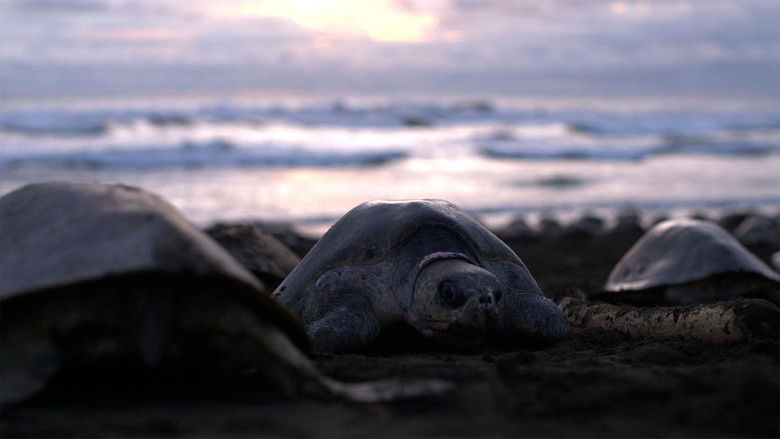 Gallery image from 7q6Weu3Vi6L5S1aVQHuS3tqbpKf.jpg