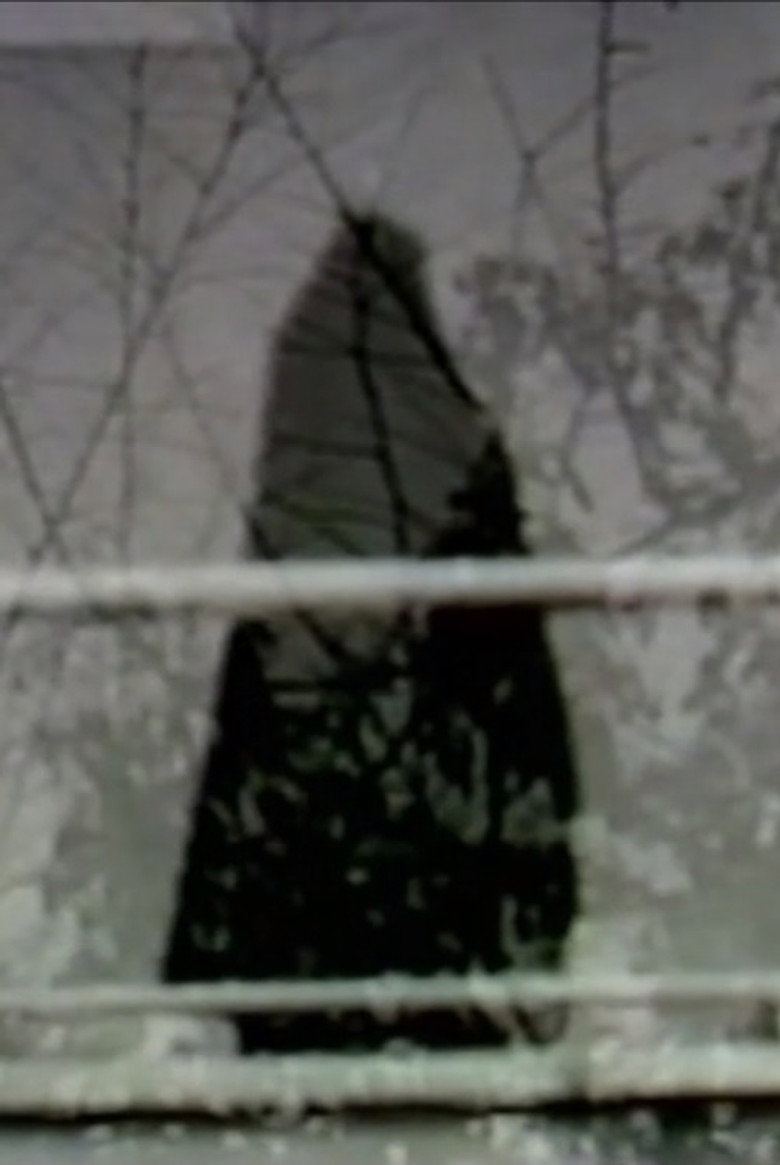 Imatge de Non Accaduto