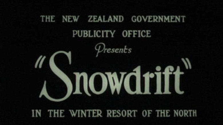 Snowdrift Photo 3