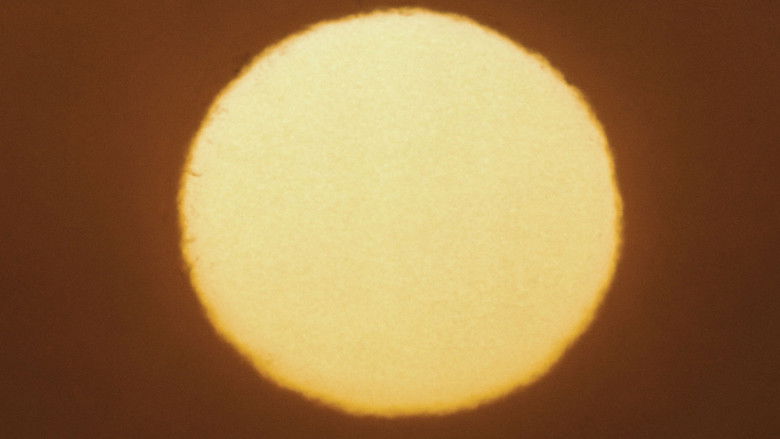 Gallery image from 7rIuZjhfKrnVy2yMrkMlao11dzh.jpg