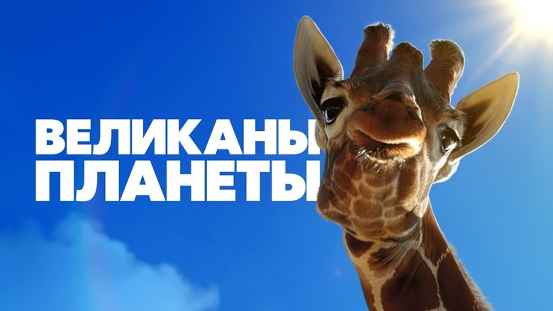 Gallery image from 7rlQsFTdA3hFrOI1JLuVJB2iVKm.jpg