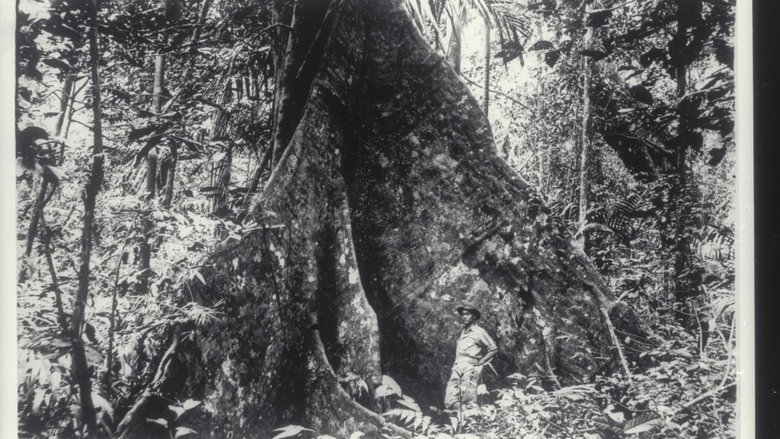 Gallery image from 7sLUY3odgYqOfAcUnV8Zqq1OweC.jpg