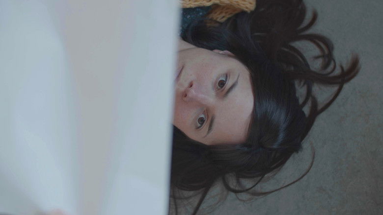 Imatge de A Play For Public