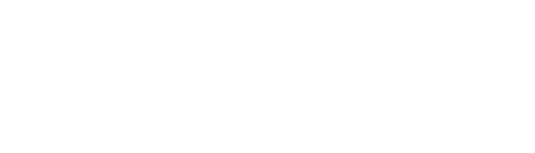 Imagen de Manual de la buena esposa