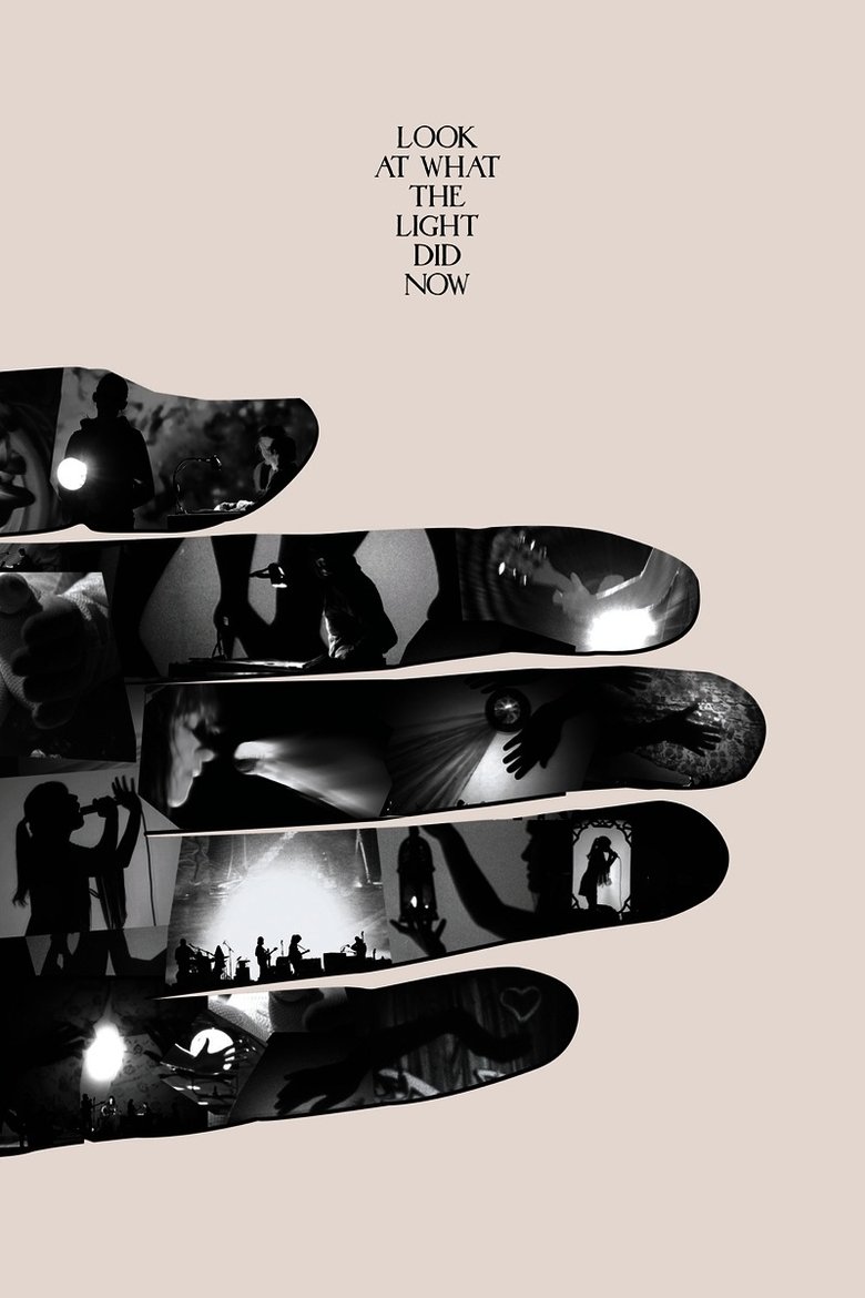 Look at What the Light Did Now main poster