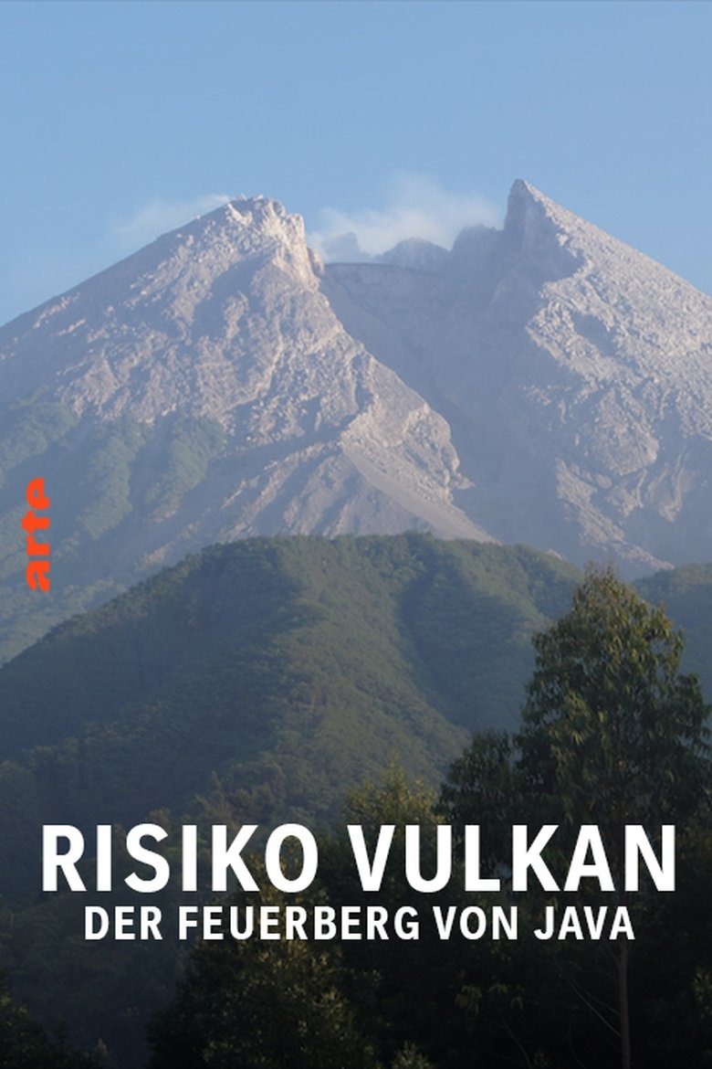 Risiko Vulkan - Der Feuerberg von Java (2015)
