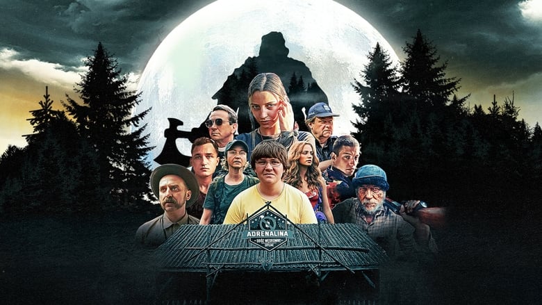 Nobody Sleeps in the Woods Tonight movie poster