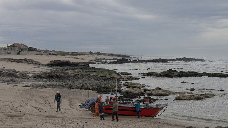 Imatge de Na Praia dos Pescadores