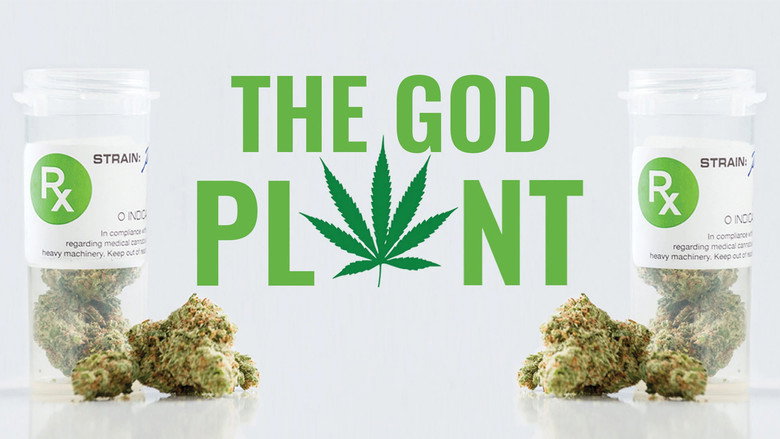 The God Plant landscape image 2