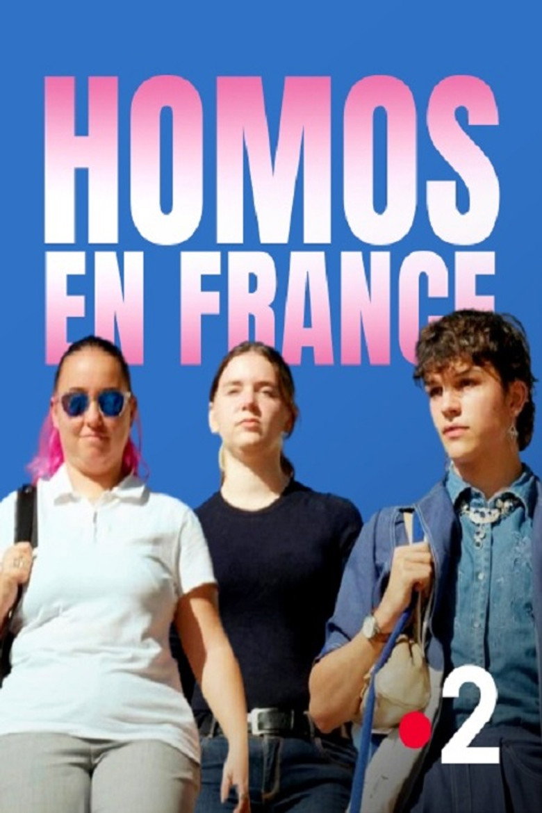 Homos en France — poster