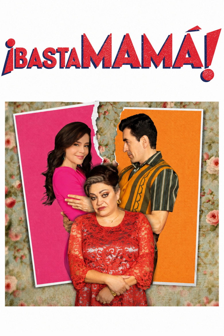 Póster la Película