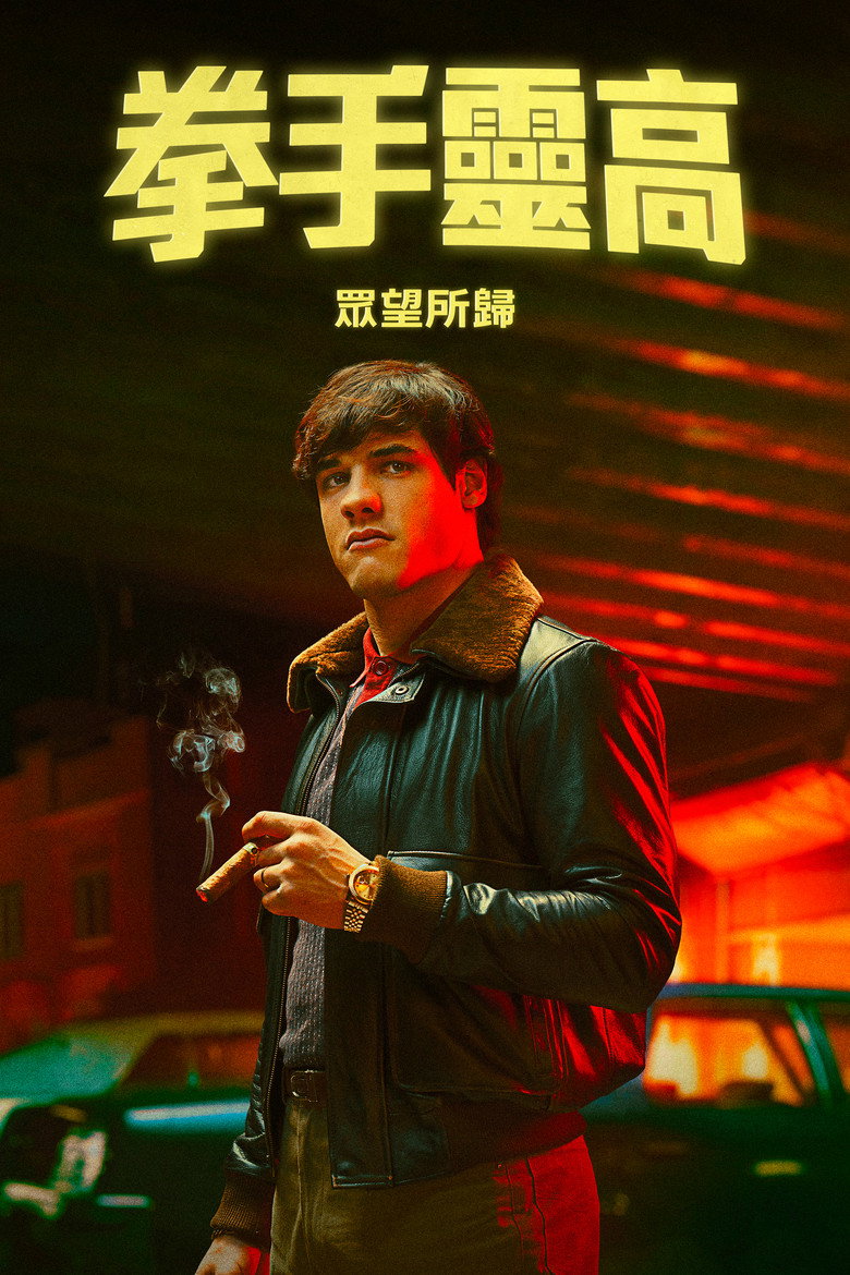 拳坛林戈:光荣殒落 封面海报