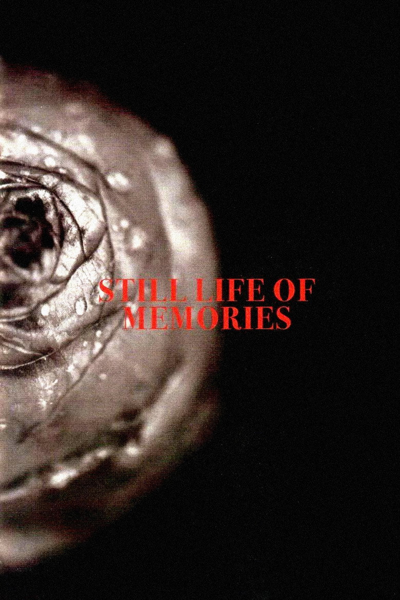 Affiche de STILL LIFE OF MEMORIES