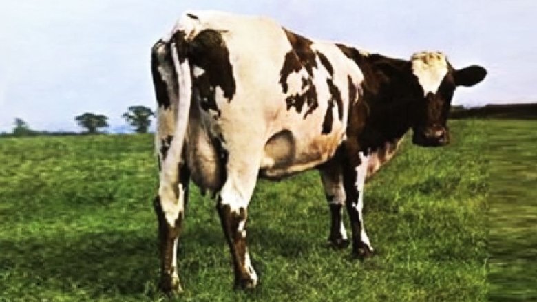 Uzlíky na jazyku Sezóna 1 Epizoda 159 bombuj