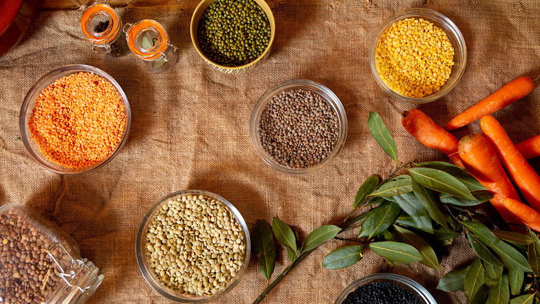 Still image for Escuela Canal Cocina season 1 episode 15: Episode 15