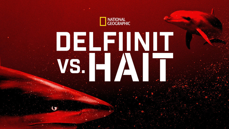 Gallery image from 7yhTLmLeKSG603Qeiw3vyAzg63r.jpg