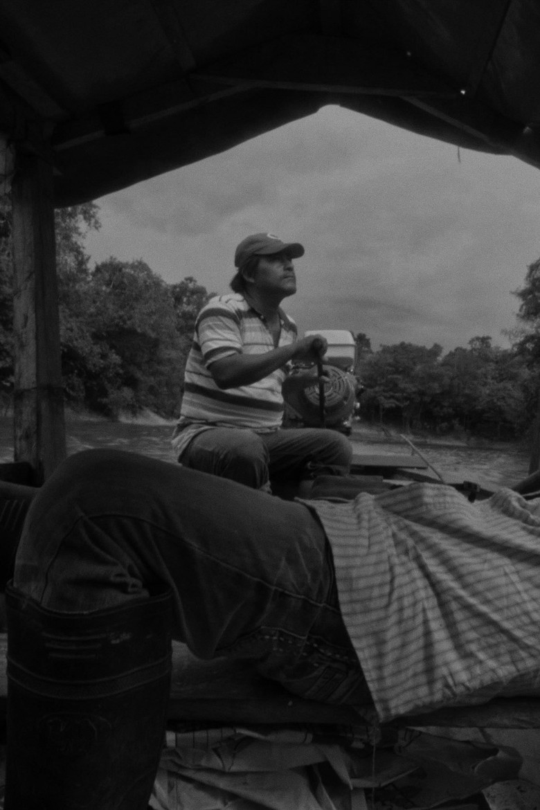 Imatge de Cortar un árbol en luna verde