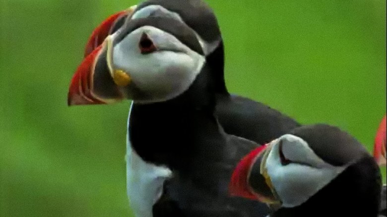 Still image for Trials of Life season 1 episode 4: Hunting and Escaping Still image for Trials of Life season 1 episode 4: Hunting and Escaping