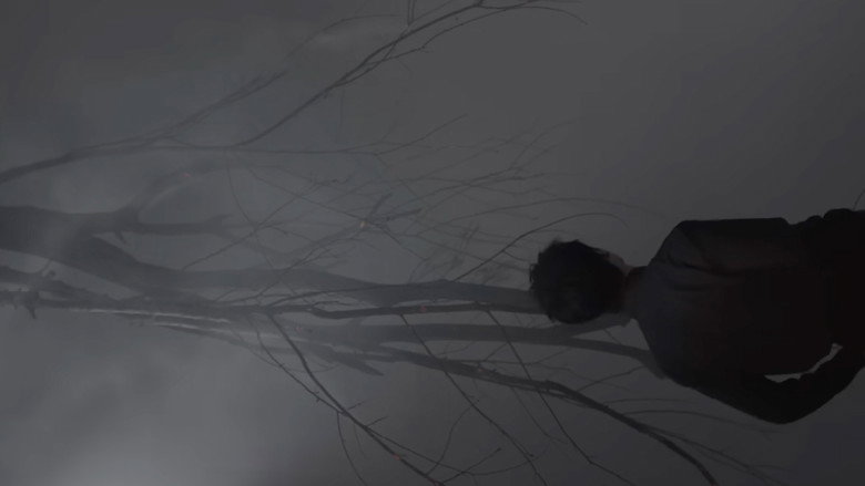 A-Film image 3
