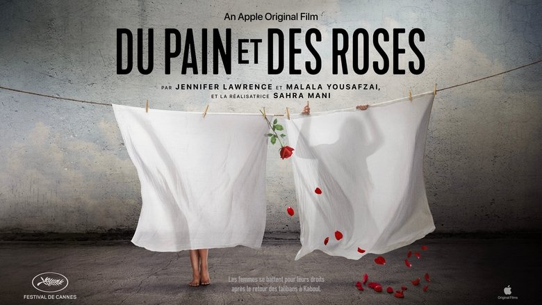 Gallery image from 80cvS4hLxed2POMfUCR6z5Mu31p.jpg