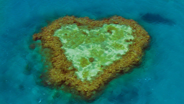 Gallery image from 80m2codn3fs8c50wGg2JYvpEEzH.jpg