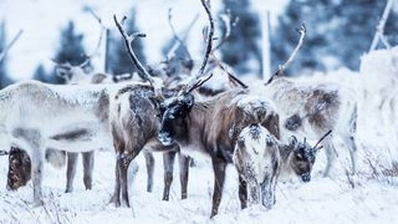 Still image for Wild Britain season 1 episode 1: Mountains Still image for Wild Britain season 1 episode 1: Mountains