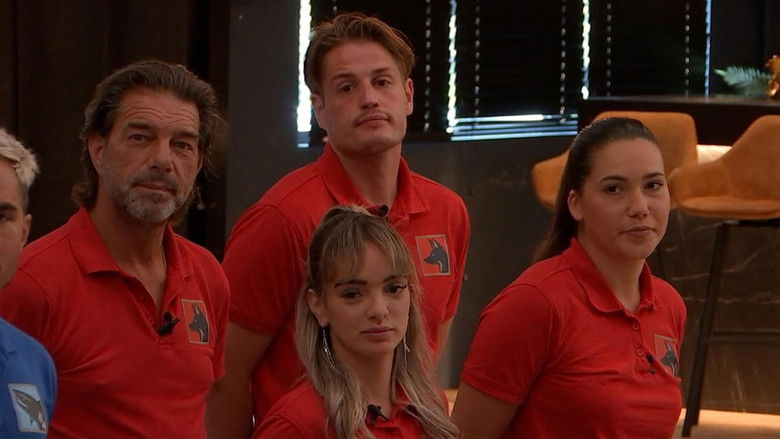 Still image for De Bondgenoten season 1 episode 197: Episode 197