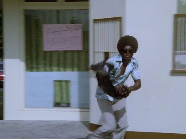 Still from Hawaii Fünf-Null - Season 12 Episode 2