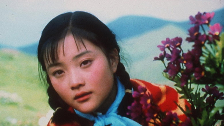 Xiu Xiu: The Sent-Down Girl still 2