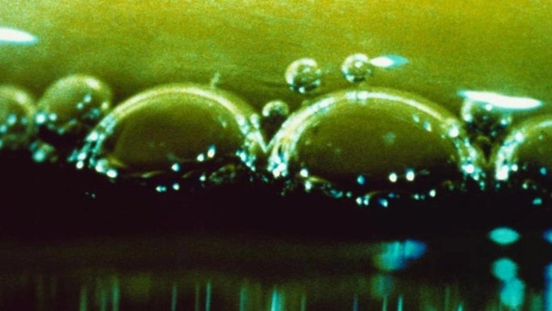 Gallery image from 83QZ4cOLNfXIfFkKRBc1fqJxNvR.jpg