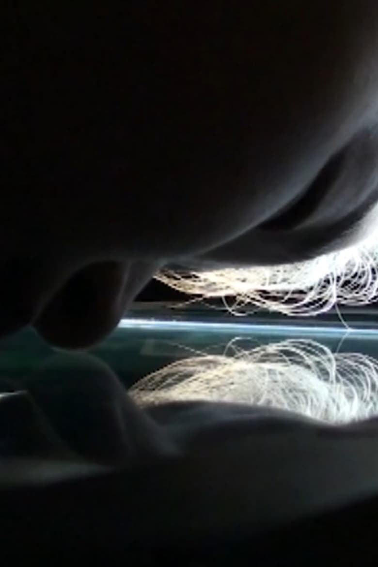 Imatge de 自画像和三个女人