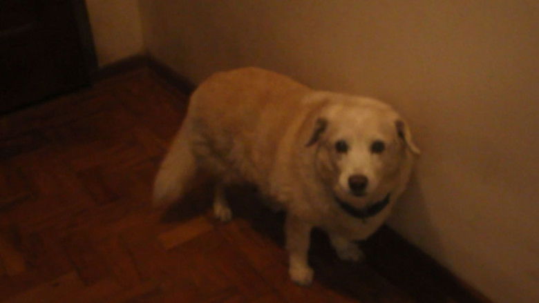 Imatge de Miranda: Natureza Maligna 2