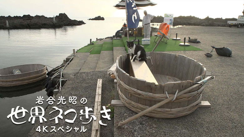 Still image for Mitsuaki Iwago's World “Cats” Travelogue season 1 episode 144: Episode 144 Still image for Mitsuaki Iwago's World “Cats” Travelogue season 1 episode 144: Episode 144