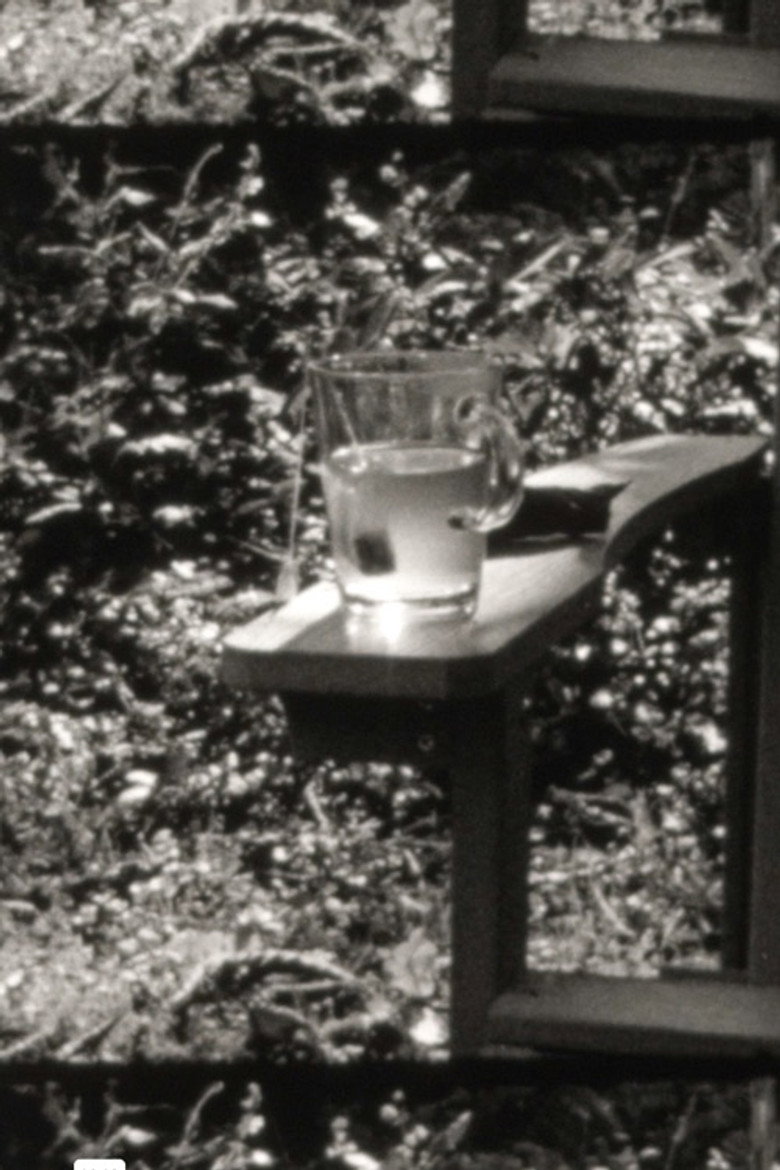 Imatge de Garden Book