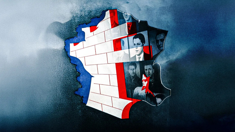 Imatge de S.T.O. Les oubliés de la victoire