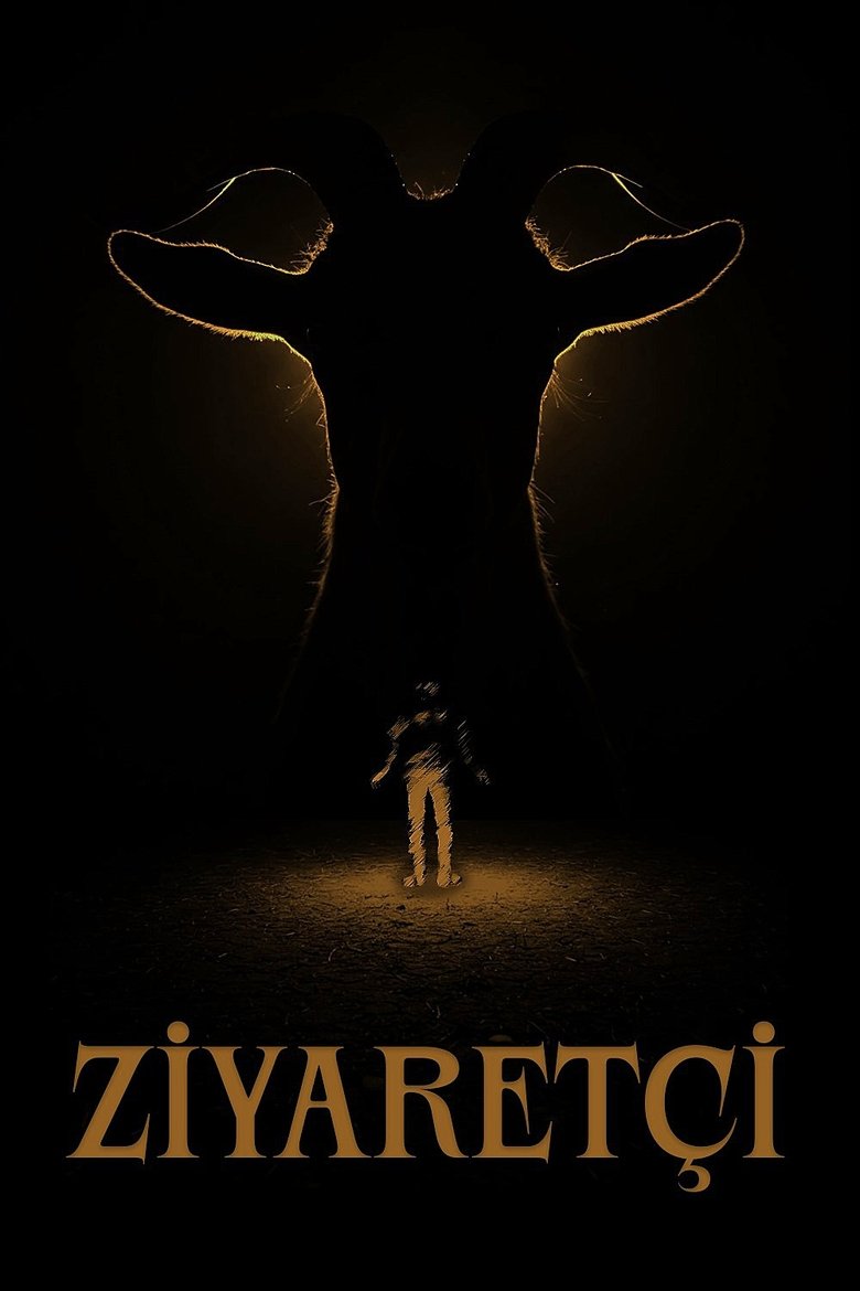 Visitor main poster